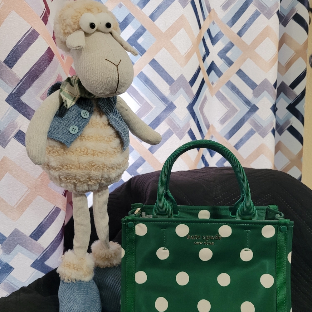 Kate Spade Purse